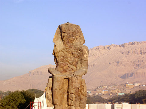 Foto Koloss von Memnon