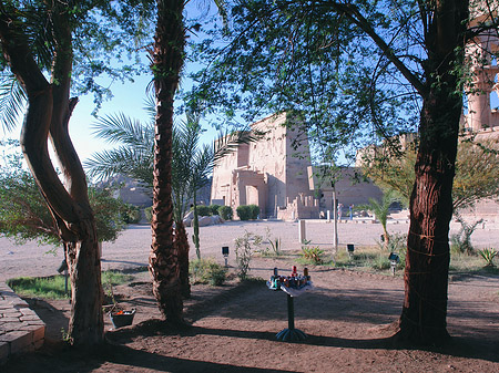 Foto Tempel zwischen Bäumen
