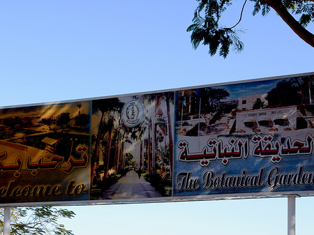 Schild Fotos