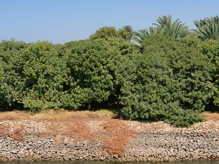 Fotos Plantagen | 