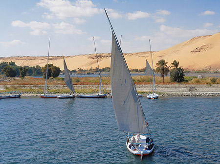 Fotos Felucca