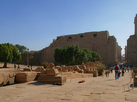 Karnak Tempel Foto 