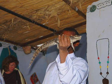 Mann mit Krokodil Foto 