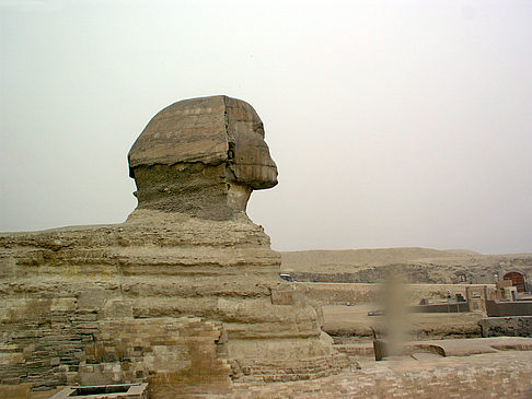 Sphinx Fotos